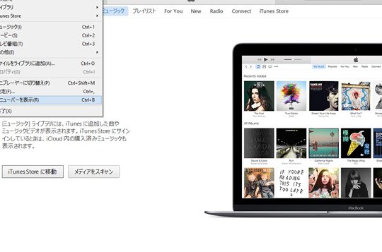 iPhoneの「ライブラリ」の写真がなぜか削除できない【iTunesの写真の同期】 13 iphonee381aee3808ce383a9e382a4e38396e383a9e383aae3808de381aee58699e79c9fe3818ce381aae3819ce3818be5898ae999a4e381a7e3818de381aae38184