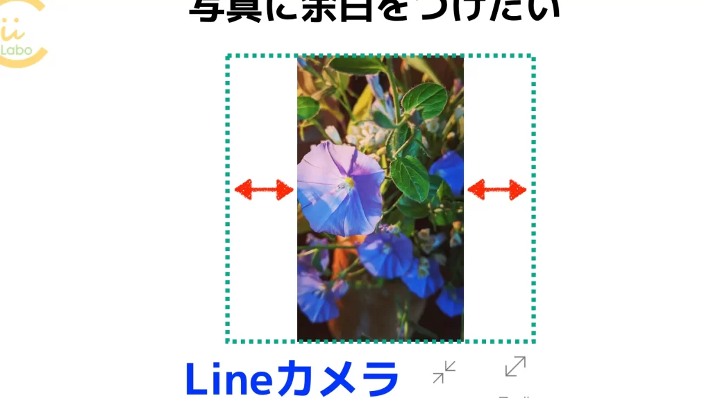 写真に余白をつけたい 【 LINEカメラの「フィット」と「フィル」】 5 e58699e79c9fe381abe4bd99e799bde38292e381a4e38191e3819fe38184 e38090 linee382abe383a1e383a9e381aee3808ce38395e382a3e38383e38388e3808d