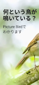 PJe6jM52HWn agU3auJ9MMhyTGI3qstfoq28FlReU3G5jYt8L35otc7rpiF8I1usww526 h296 rw