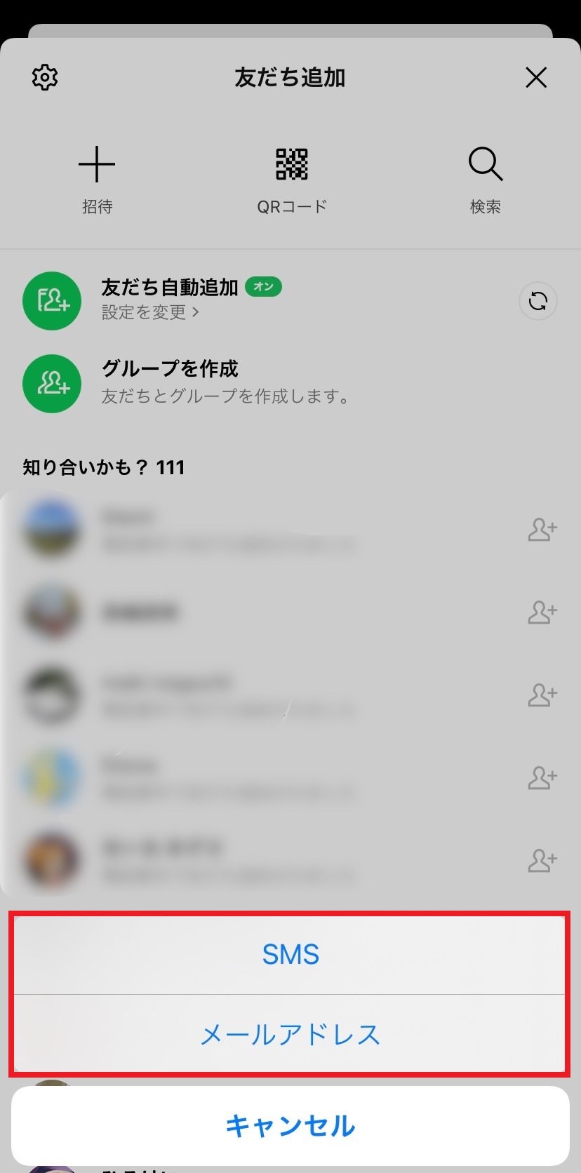 addemailsms 04
