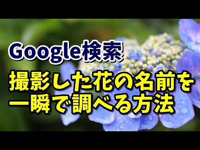 sddefault