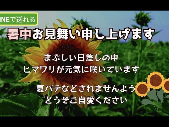 LINEで送れる♪暑中見舞い動画(ヒマワリのメッセージ) 1 linee381a7e98081e3828ce3828be299aae69a91e4b8ade8a68be8889ee38184e58b95e794bbefbc88e38392e3839ee383afe383aae381aee383a1e38383e382bb