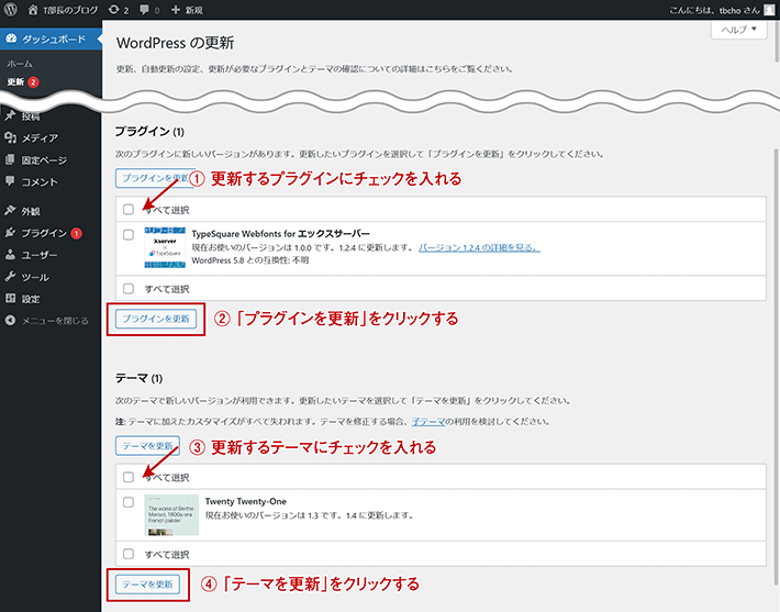wp update theme plugin
