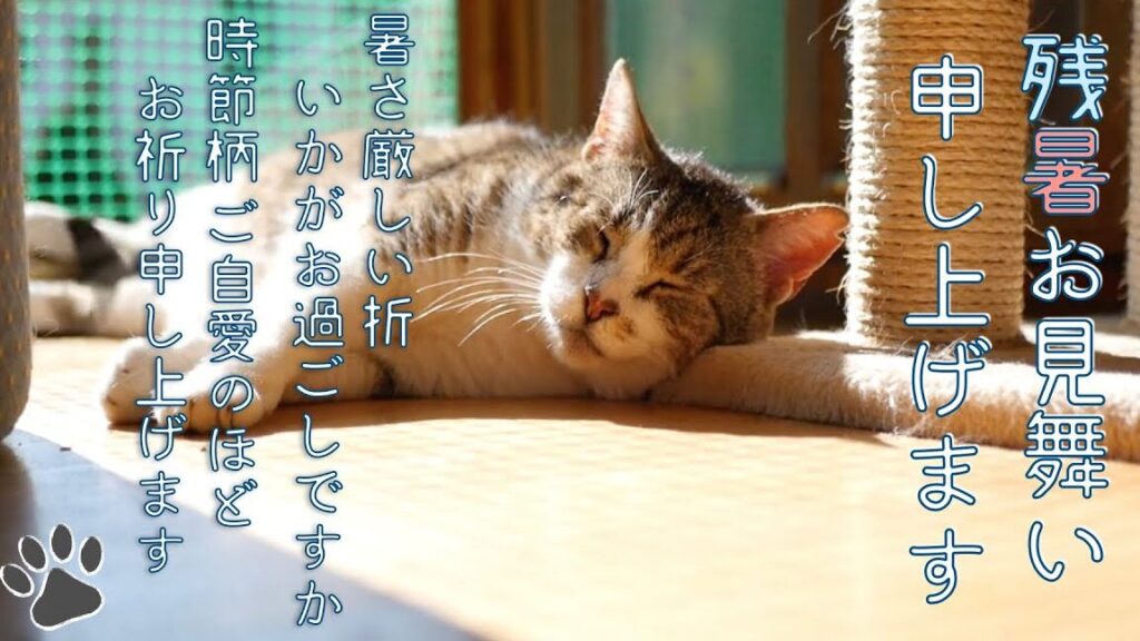 お昼寝ネコの残暑お見舞いムービー(LINEで送れる♪メッセージ動画) 1 e3818ae698bce5af9de3838de382b3e381aee6ae8be69a91e3818ae8a68be8889ee38184e383a0e383bce38393e383bcefbc88linee381a7e98081e3828ce3828b